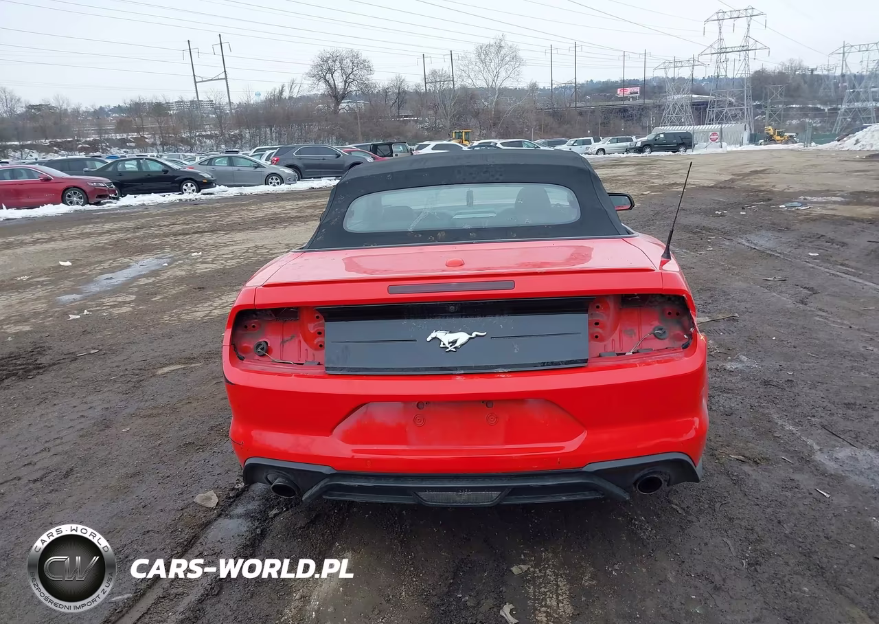 2021 Ford Mustang Ecoboost Premium VIN:1FATP8UH3M5115956 - 17