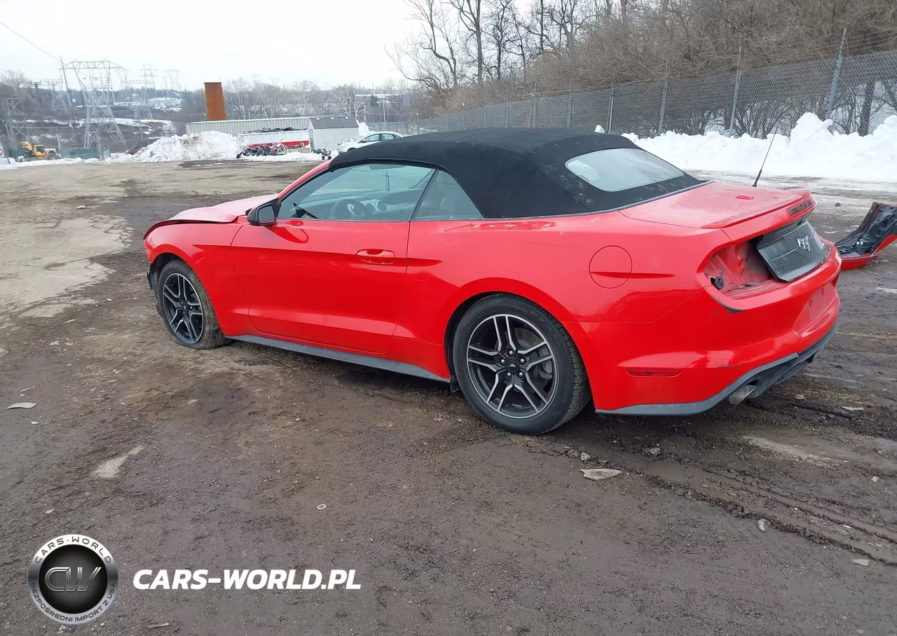 2021 Ford Mustang Ecoboost Premium VIN:1FATP8UH3M5115956 - 3