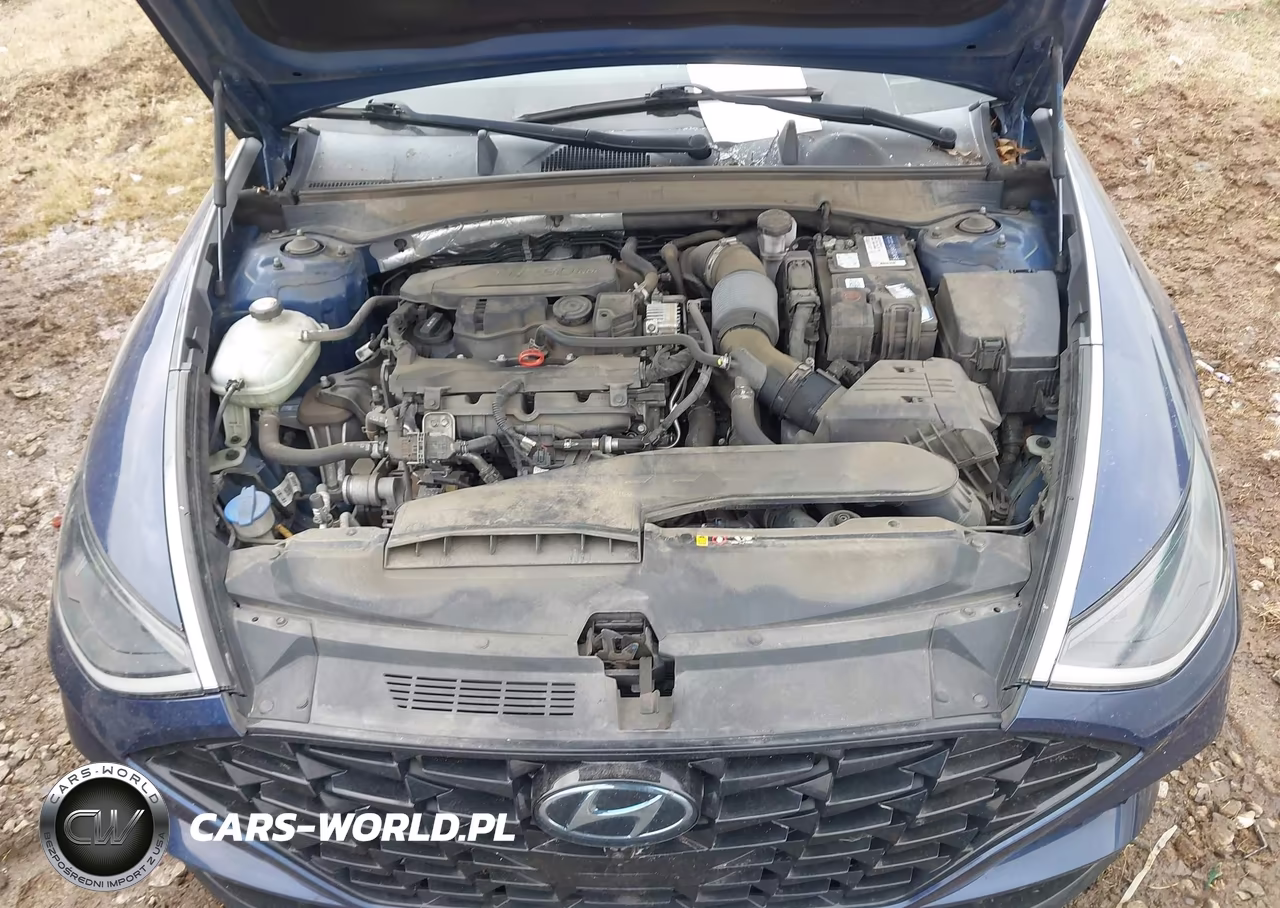 2020 Hyundai Sonata Limited VIN:5NPEH4J22LH036656 - 10