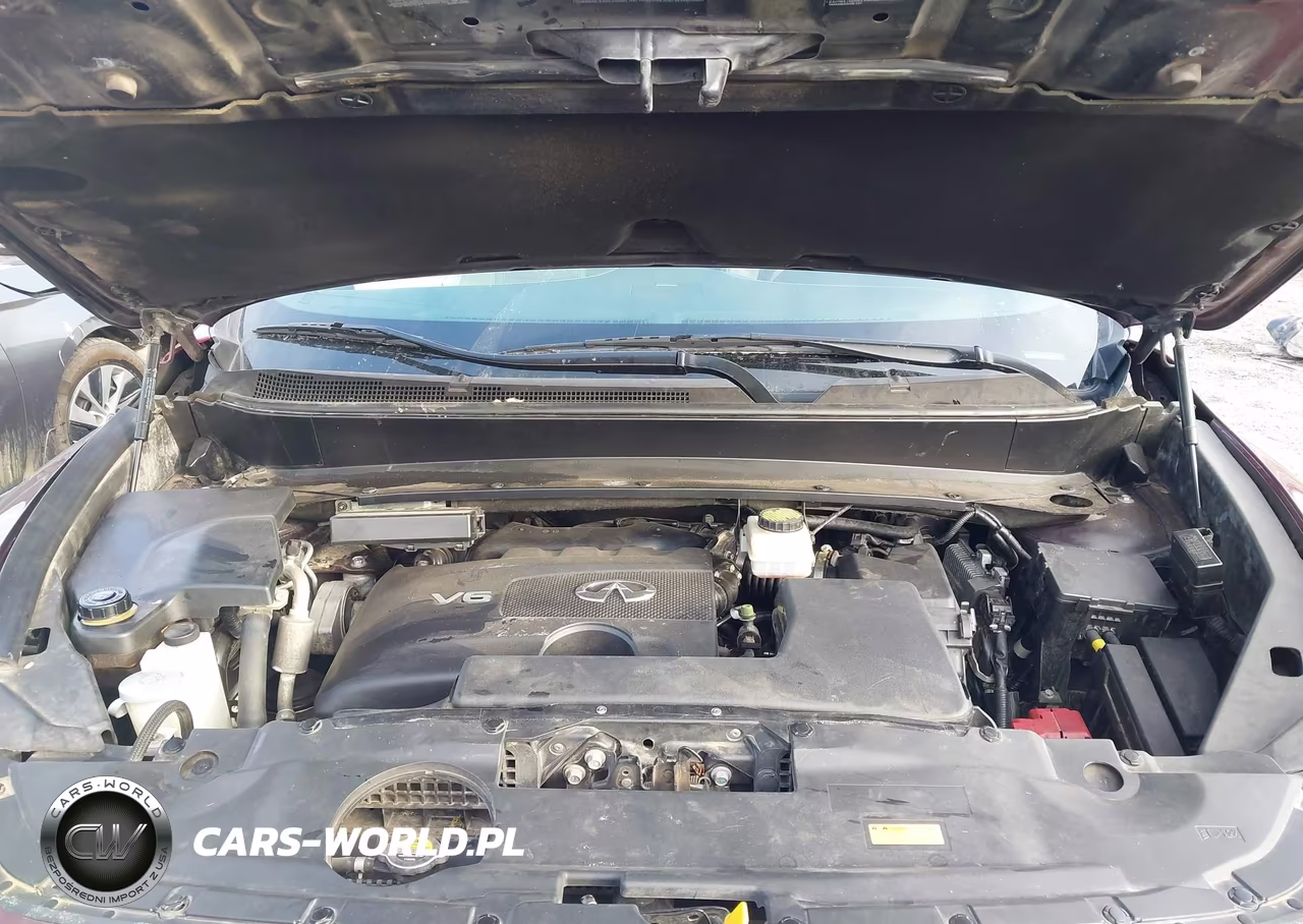 2019 Infiniti Qx60 Luxe VIN:5N1DL0MM3KC510586 - 10