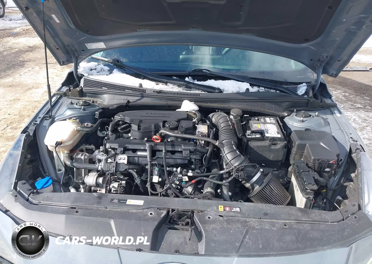 2021 Hyundai Elantra N Line VIN:KMHLR4AF8MU151322 - 10