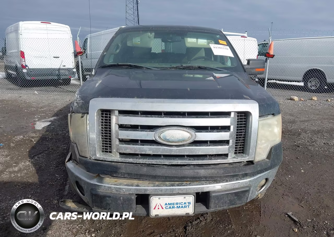 2009 Ford F-150 Xl-Xlt VIN:1FTRW12849FA79245 - 13