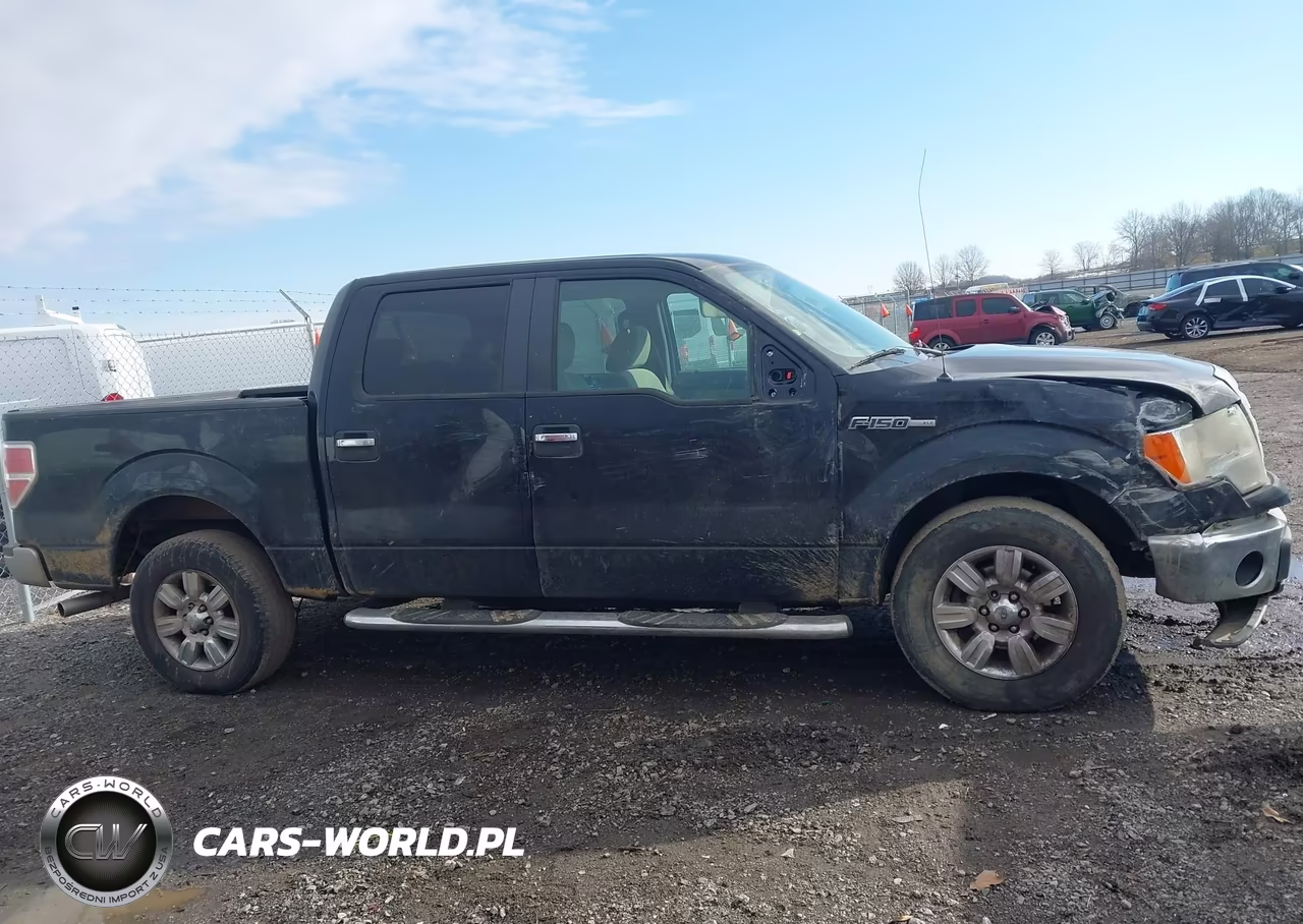 2009 Ford F-150 Xl-Xlt VIN:1FTRW12849FA79245 - 14