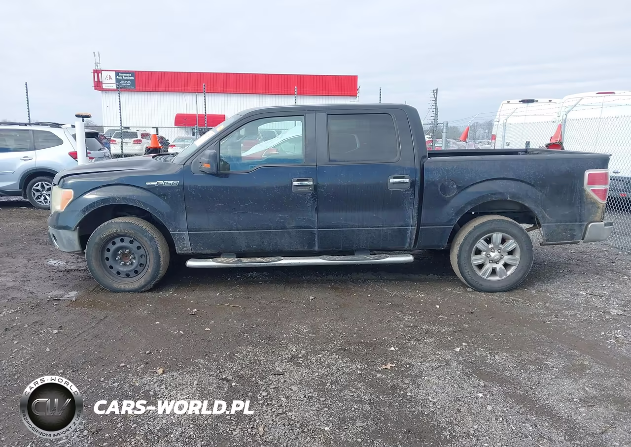 2009 Ford F-150 Xl-Xlt VIN:1FTRW12849FA79245 - 15