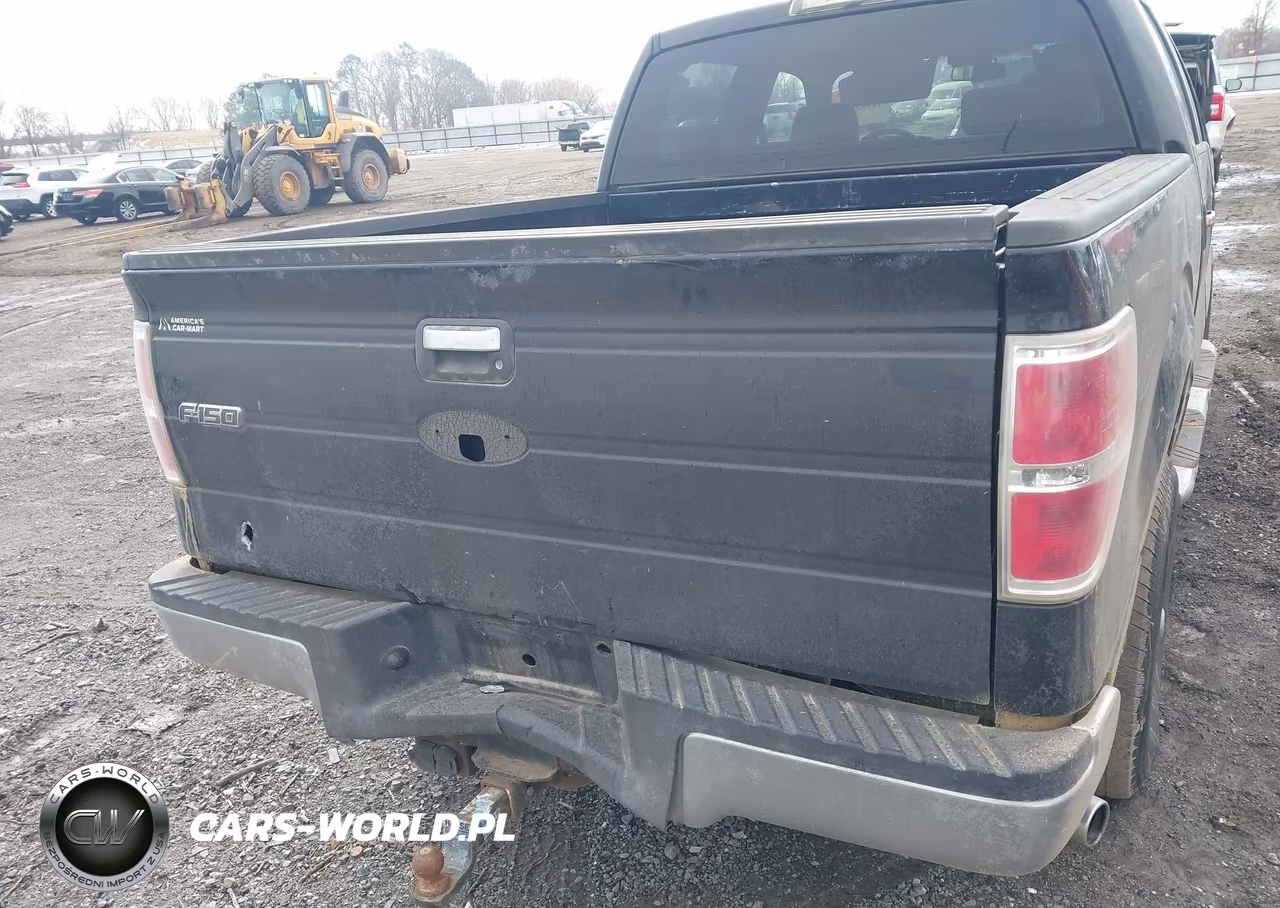 2009 Ford F-150 Xl-Xlt VIN:1FTRW12849FA79245 - 17