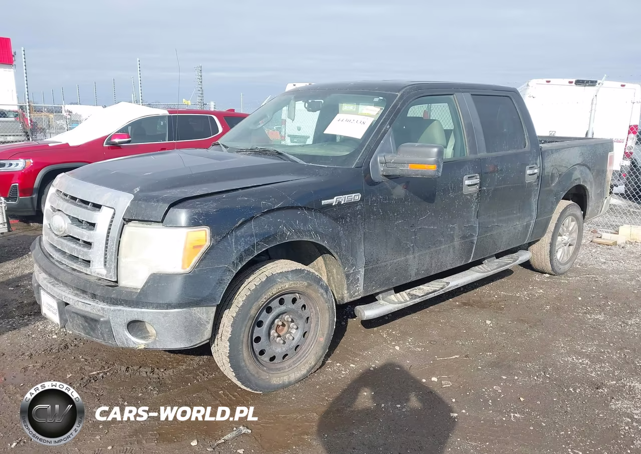 2009 Ford F-150 Xl-Xlt VIN:1FTRW12849FA79245 - 2