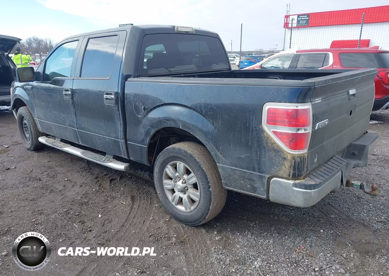 2009 Ford F-150 Xl-Xlt VIN:1FTRW12849FA79245 - 3