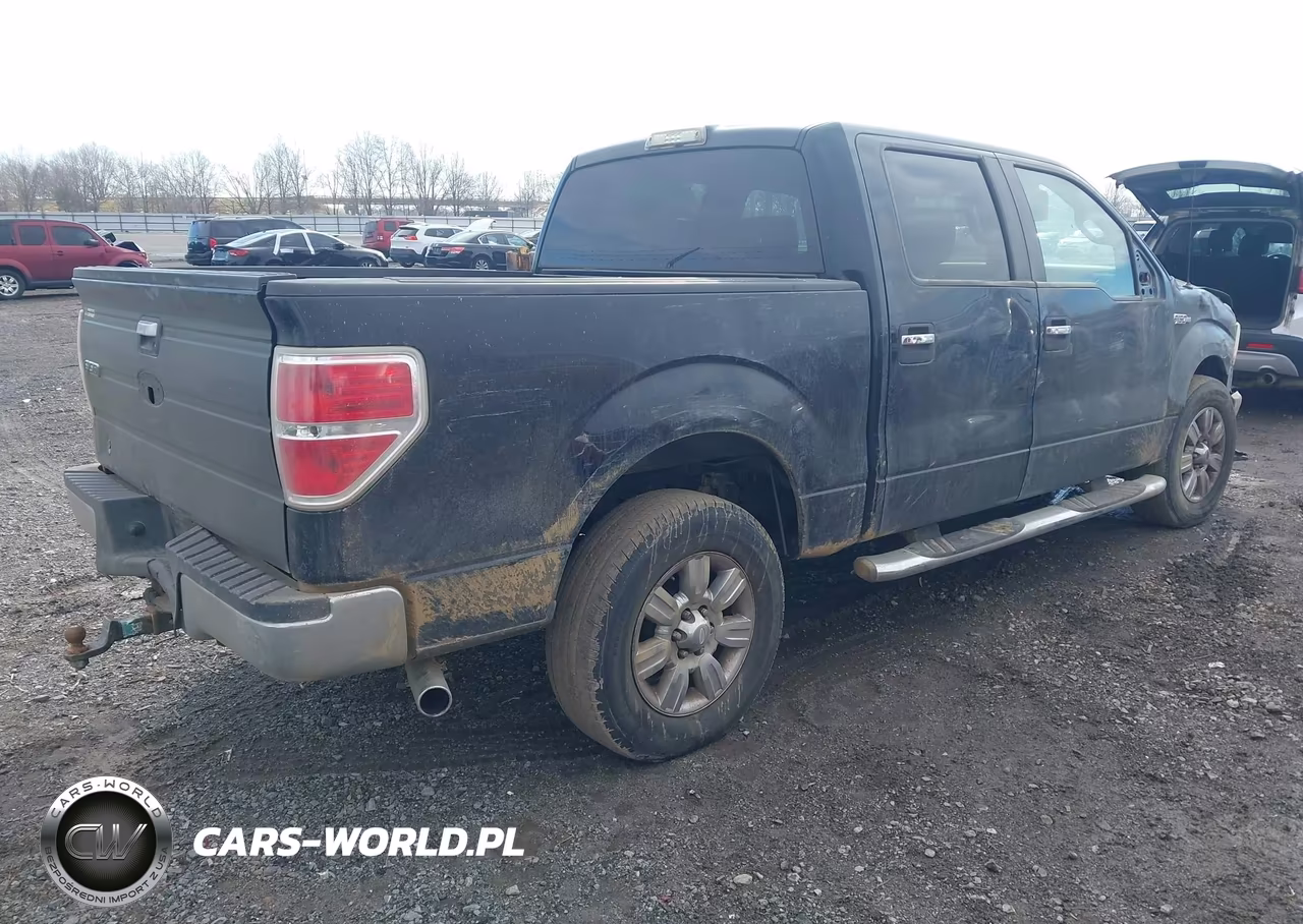 2009 Ford F-150 Xl-Xlt VIN:1FTRW12849FA79245 - 4