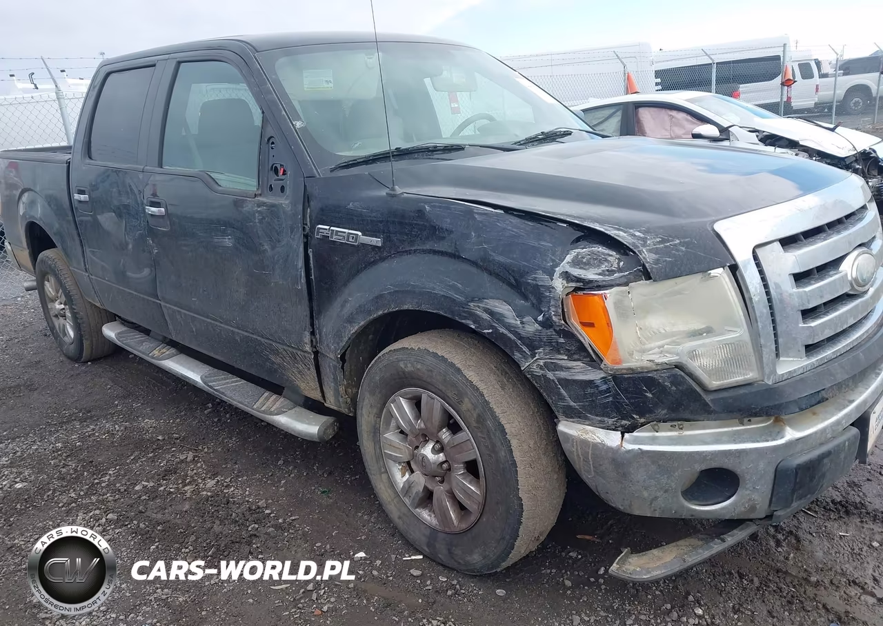 2009 Ford F-150 Xl-Xlt VIN:1FTRW12849FA79245 - 6