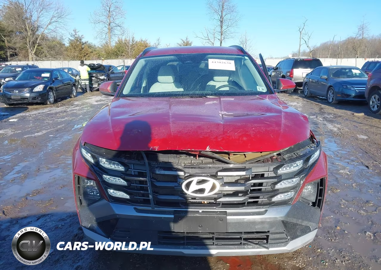 2025 Hyundai Tucson Sel VIN:5NMJBCDE7SH547808 - 12