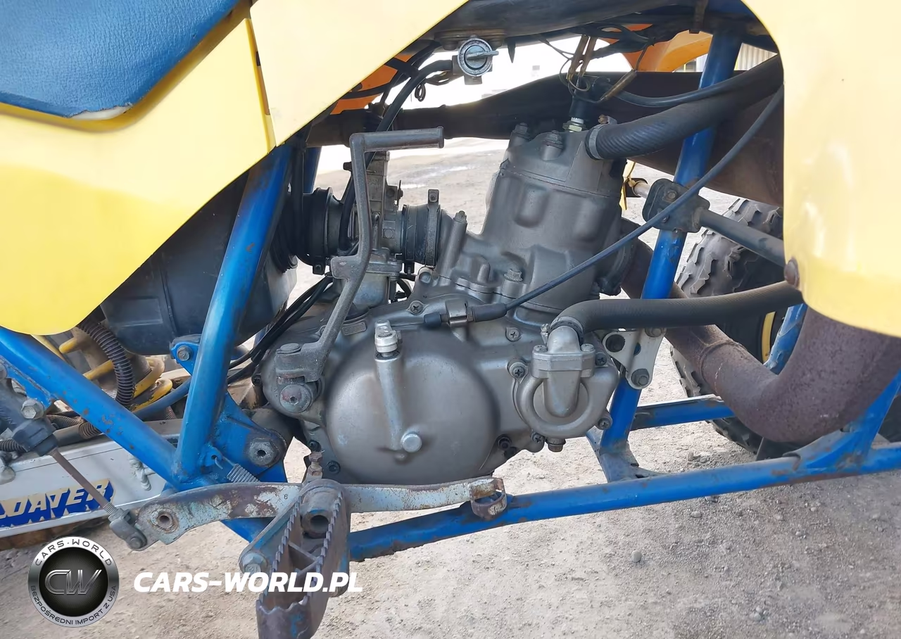 1986 Suzuki Lt250 R VIN:JSAAJ11A5G2109156 - 8