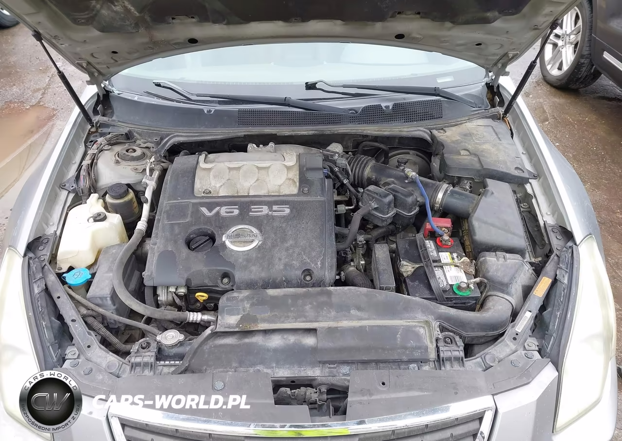 2007 Nissan Maxima 3.5 Se VIN:1N4BA41E87C861402 - 10