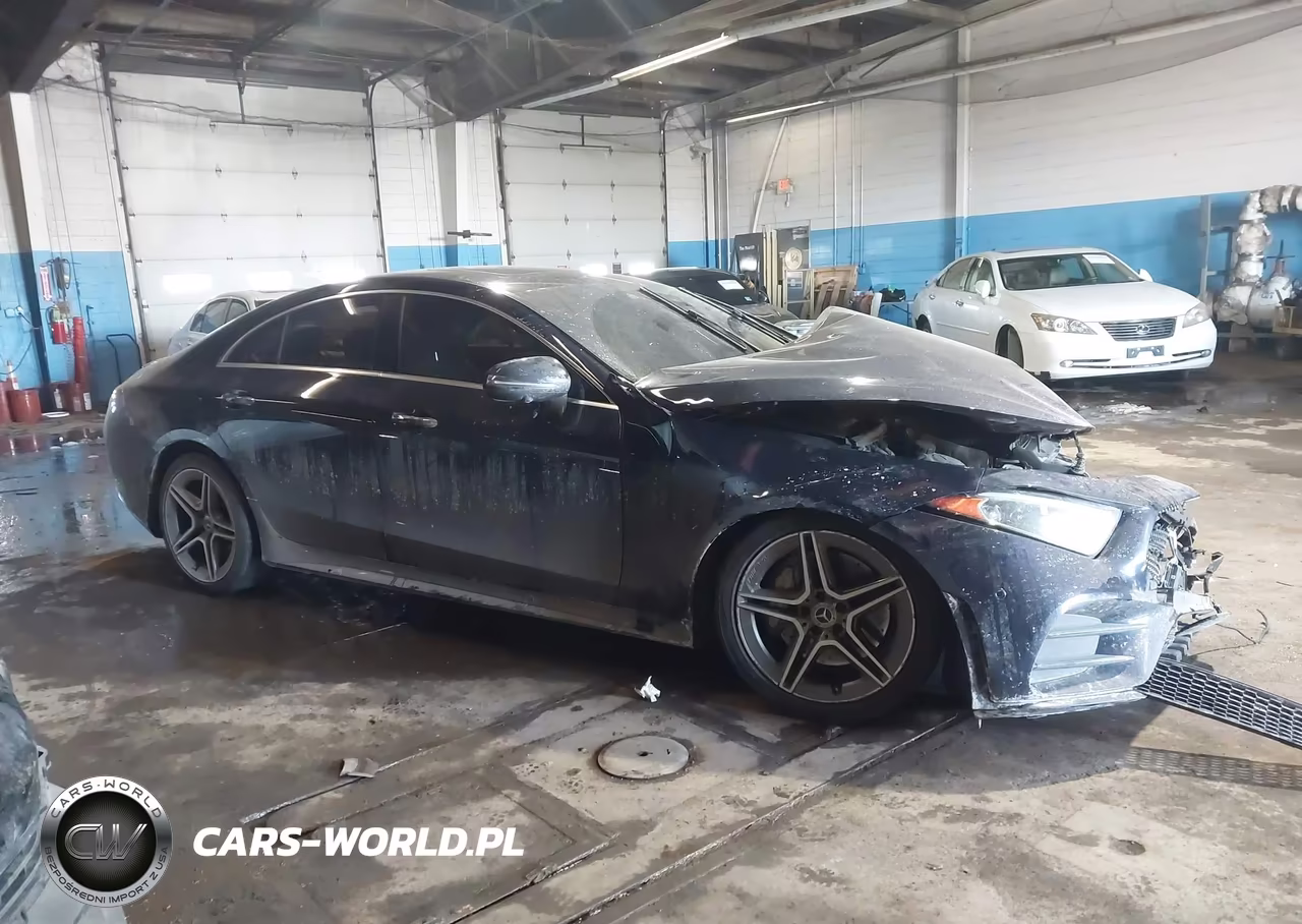 2019 Mercedes-Benz Cls 450 4Matic VIN:WDD2J5KB2KA013756 - 13