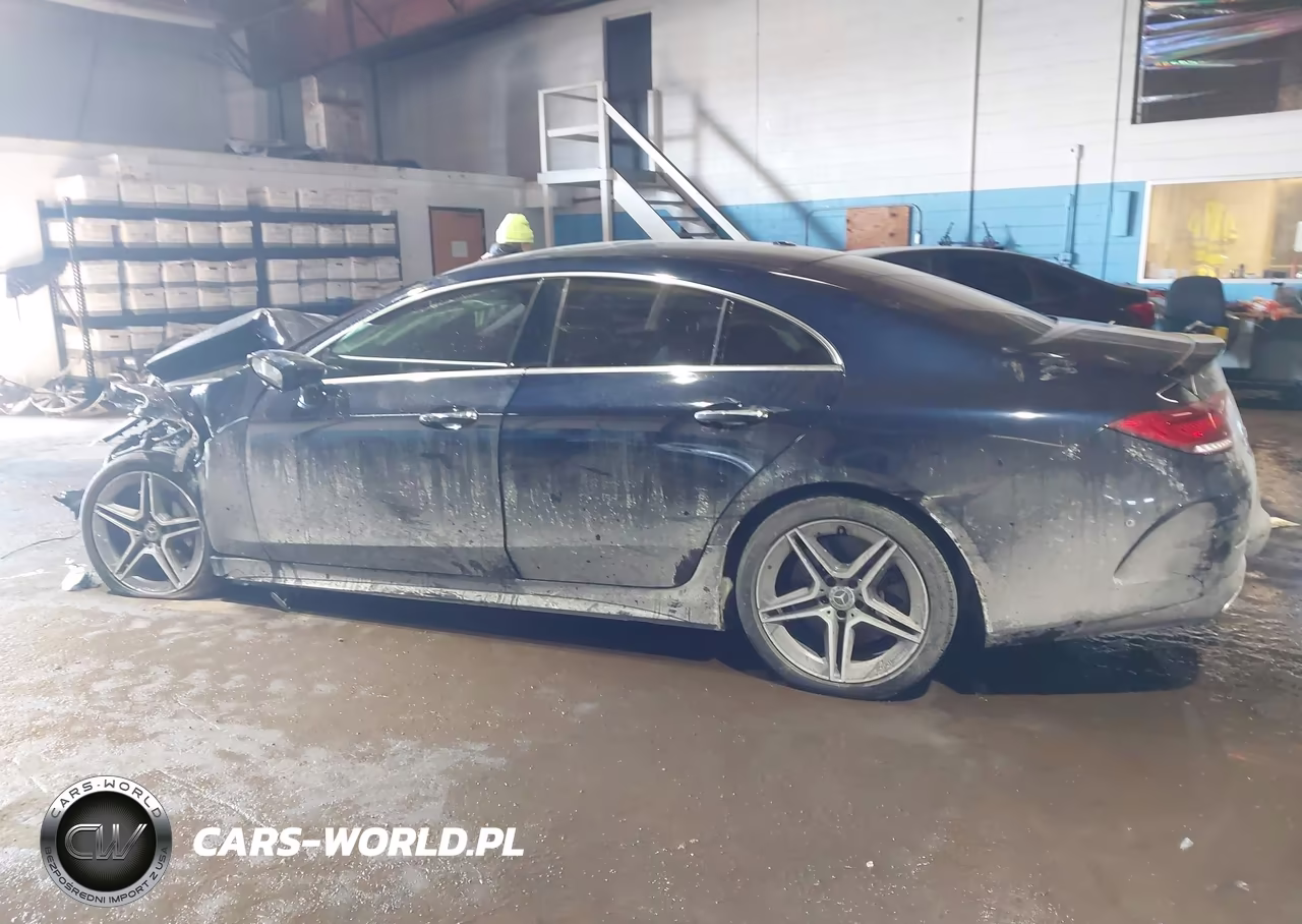 2019 Mercedes-Benz Cls 450 4Matic VIN:WDD2J5KB2KA013756 - 14