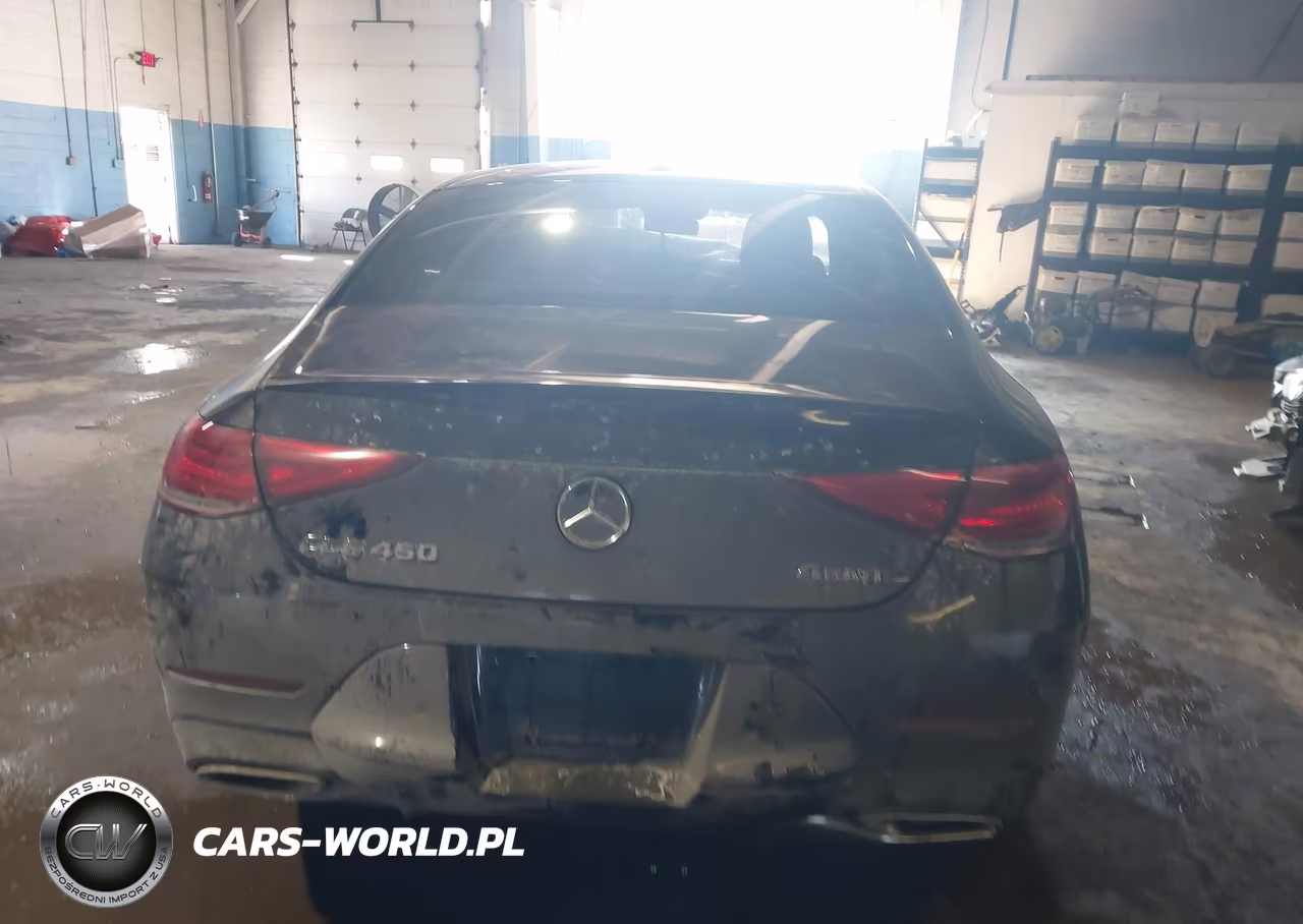 2019 Mercedes-Benz Cls 450 4Matic VIN:WDD2J5KB2KA013756 - 16