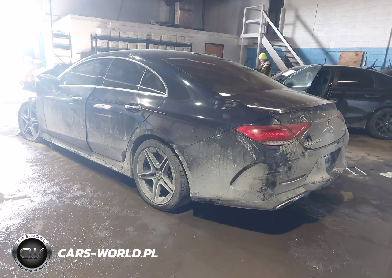 2019 Mercedes-Benz Cls 450 4Matic VIN:WDD2J5KB2KA013756 - 3