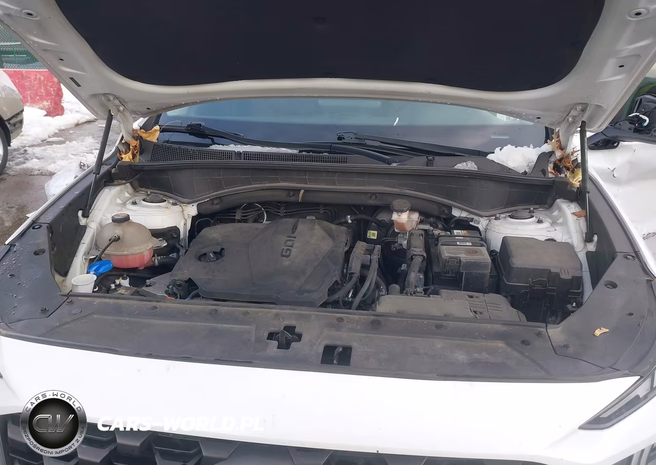 2021 Hyundai Santa Fe Se VIN:5NMS1DAJ7MH327845 - 10
