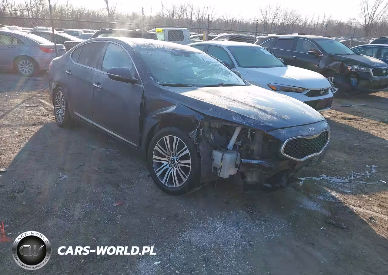 2014 Kia Cadenza Premium