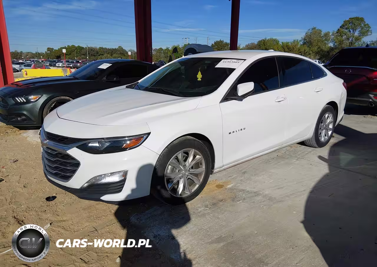 2019 Chevrolet Malibu Lt VIN:1G1ZD5ST4KF163856 - 2