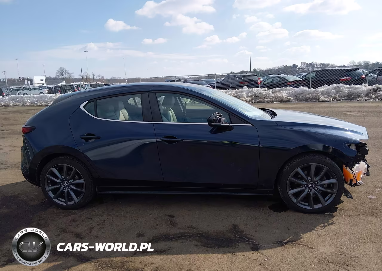 2019 Mazda Mazda3 Preferred Package VIN:JM1BPBMM7K1122333 - 13