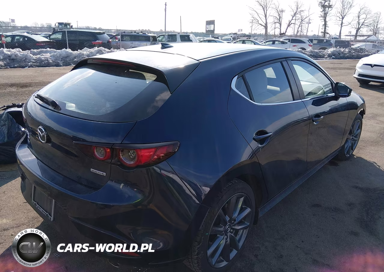 2019 Mazda Mazda3 Preferred Package VIN:JM1BPBMM7K1122333 - 4