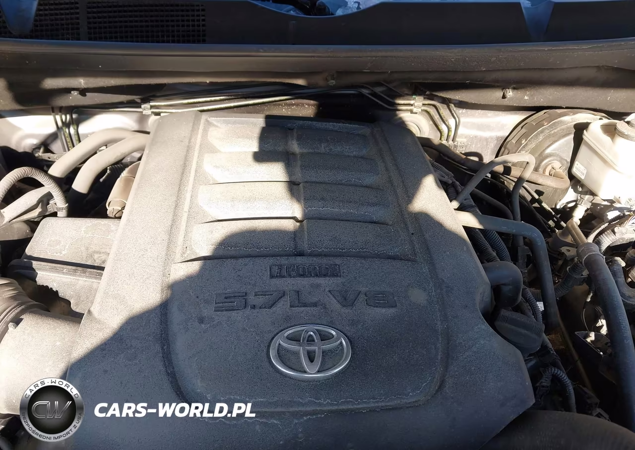 2021 Toyota Tundra Platinum VIN:5TFAY5F1XMX008680 - 10