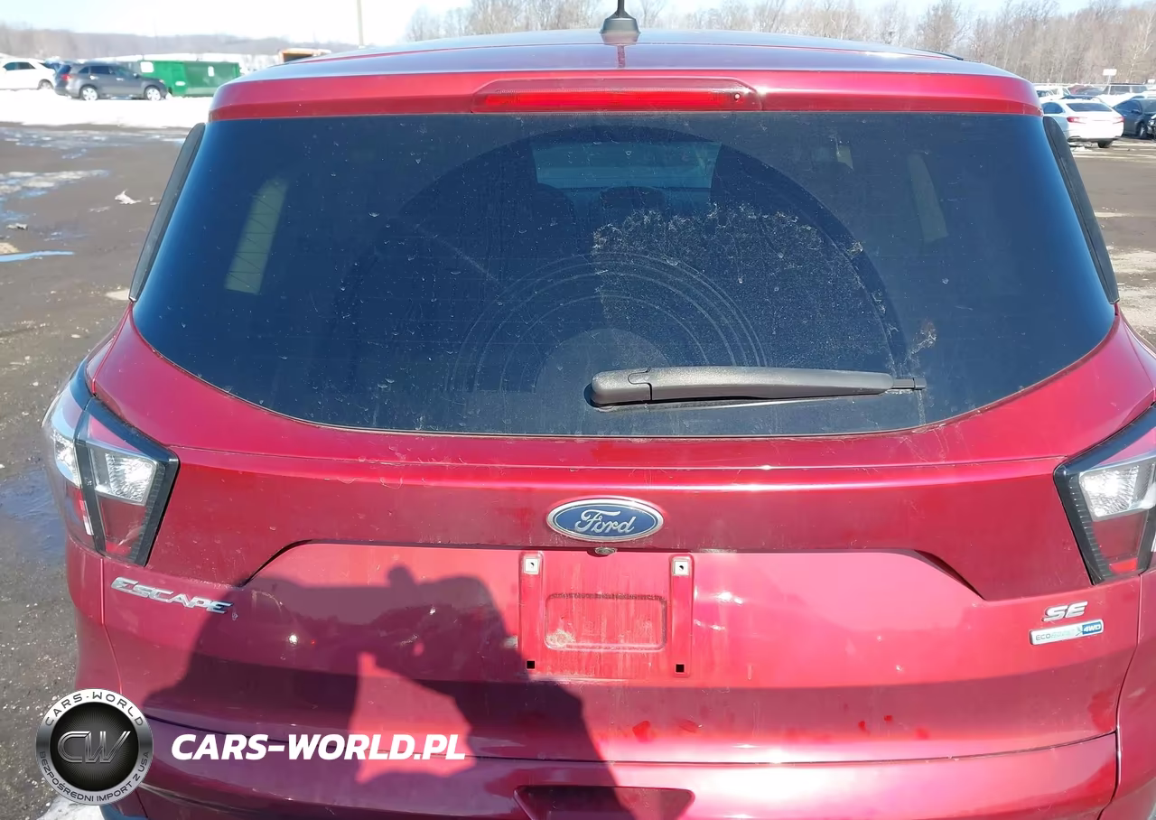 2017 Ford Escape Se VIN:1FMCU9GD1HUC17412 - 17