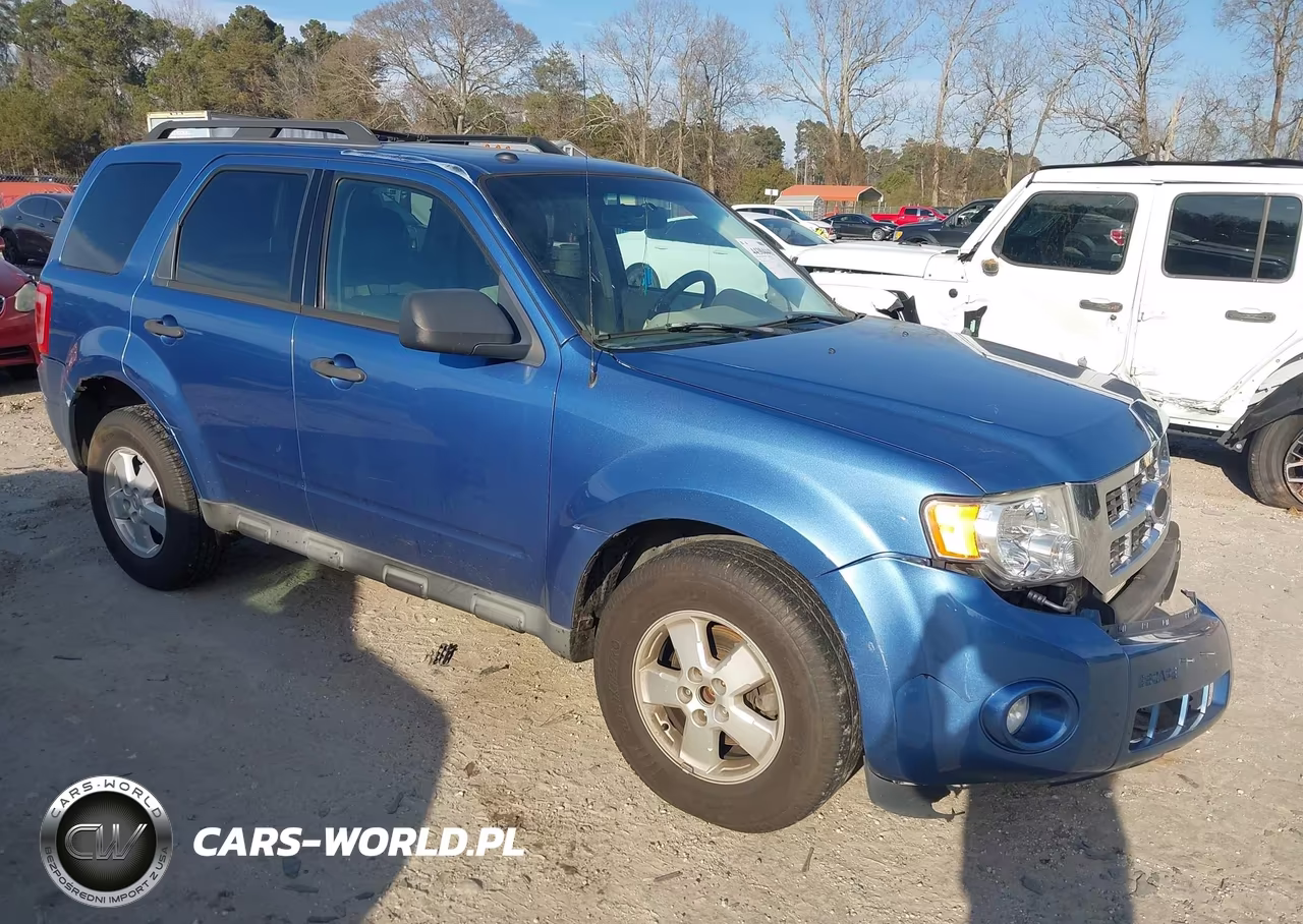 2010 Ford Escape Xlt