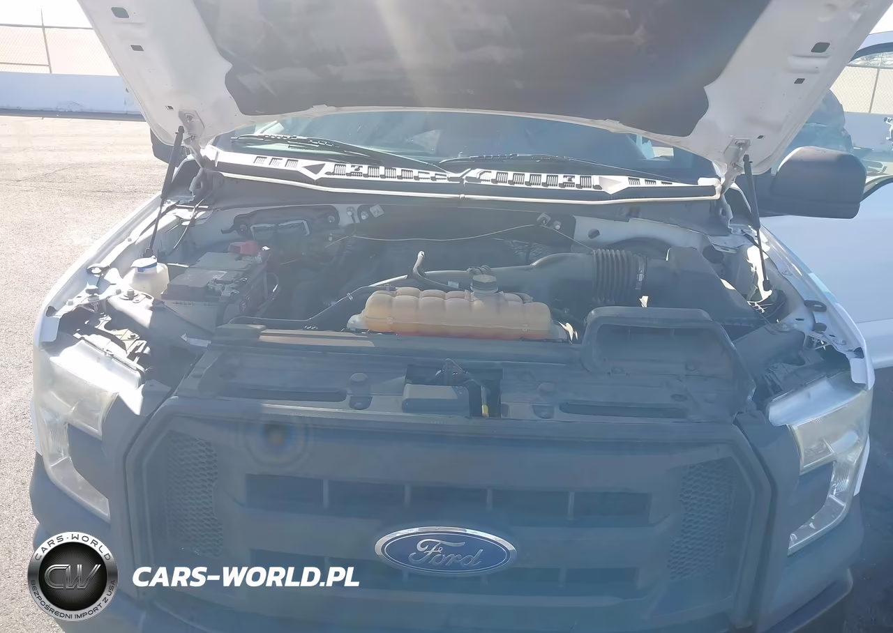2015 Ford F-150 Xl VIN:1FTEX1CP8FKD10233 - 10