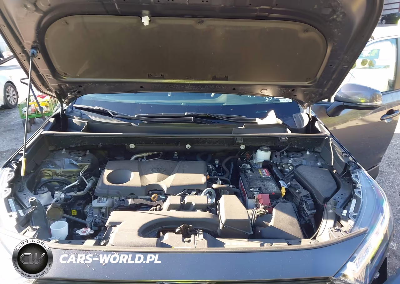 2023 Toyota Rav4 Xle VIN:2T3P1RFV3PW339750 - 10