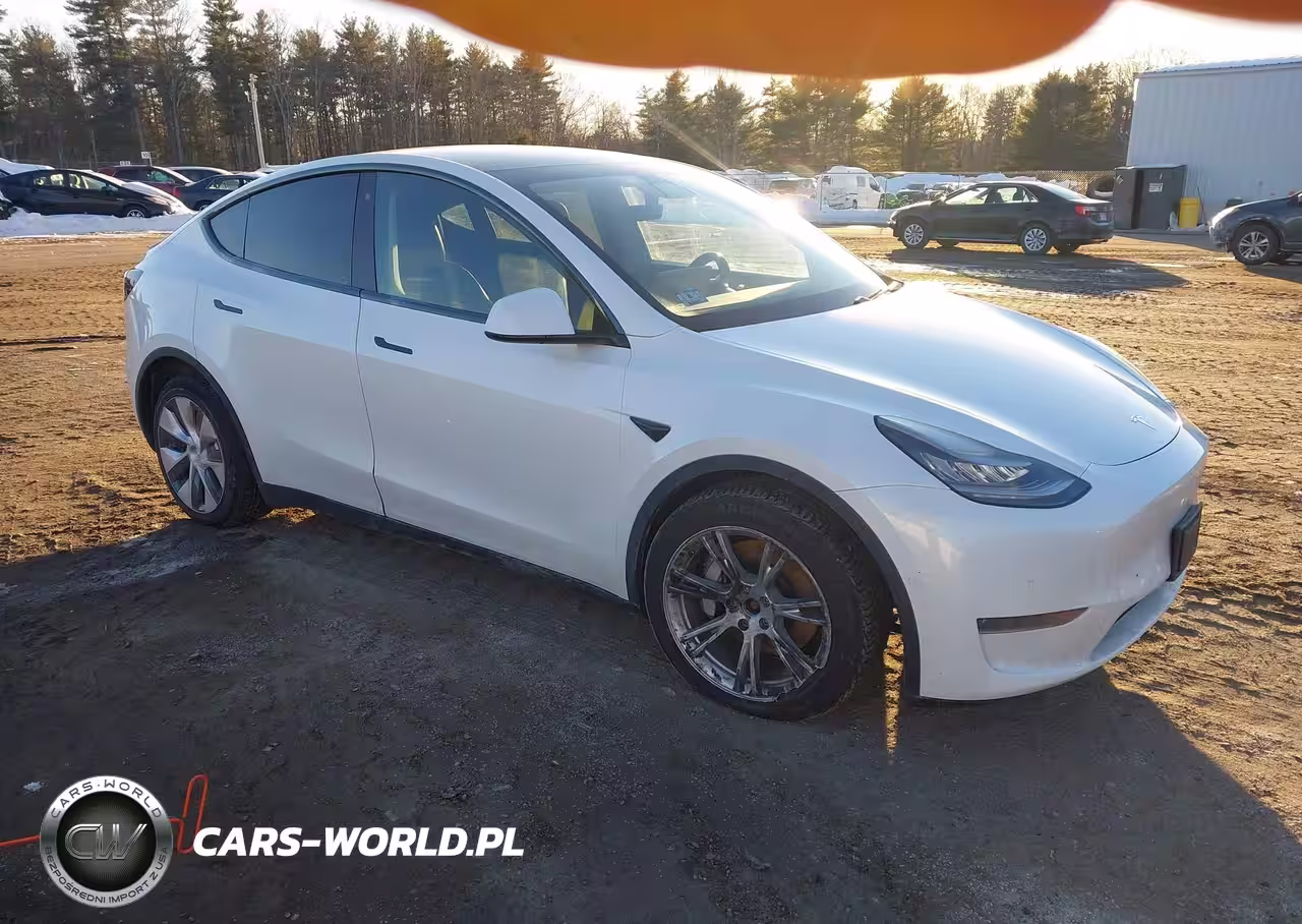 2020 Tesla Model Y Long Range Dual Motor All-Wheel Drive