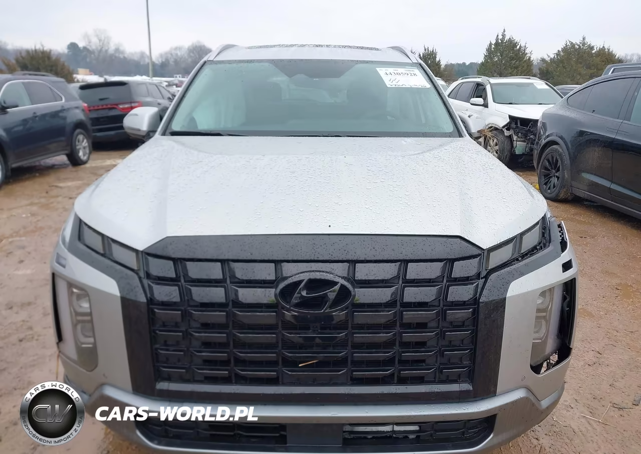 2025 Hyundai Palisade Sel Premium VIN:KM8R4DGE0SU937104 - 12