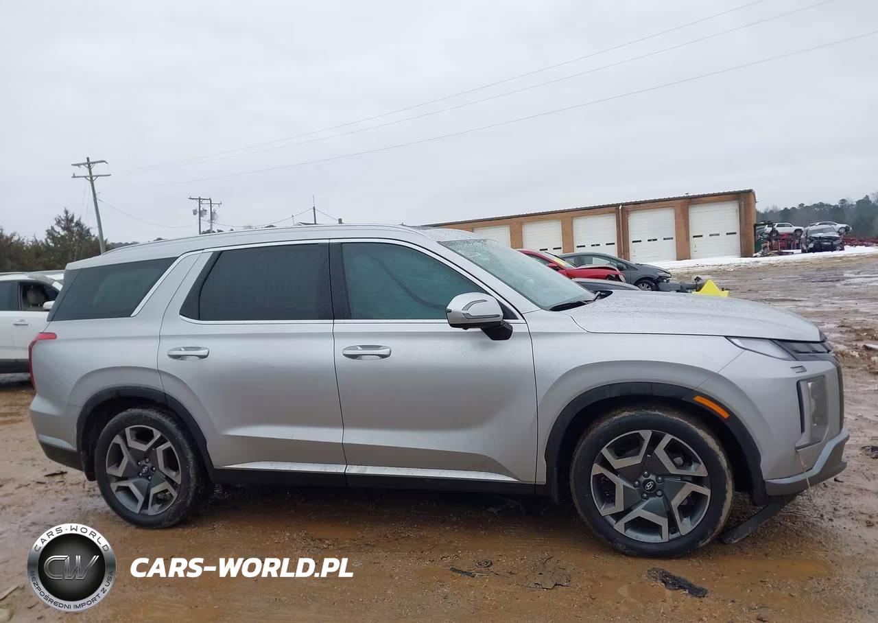 2025 Hyundai Palisade Sel Premium VIN:KM8R4DGE0SU937104 - 13