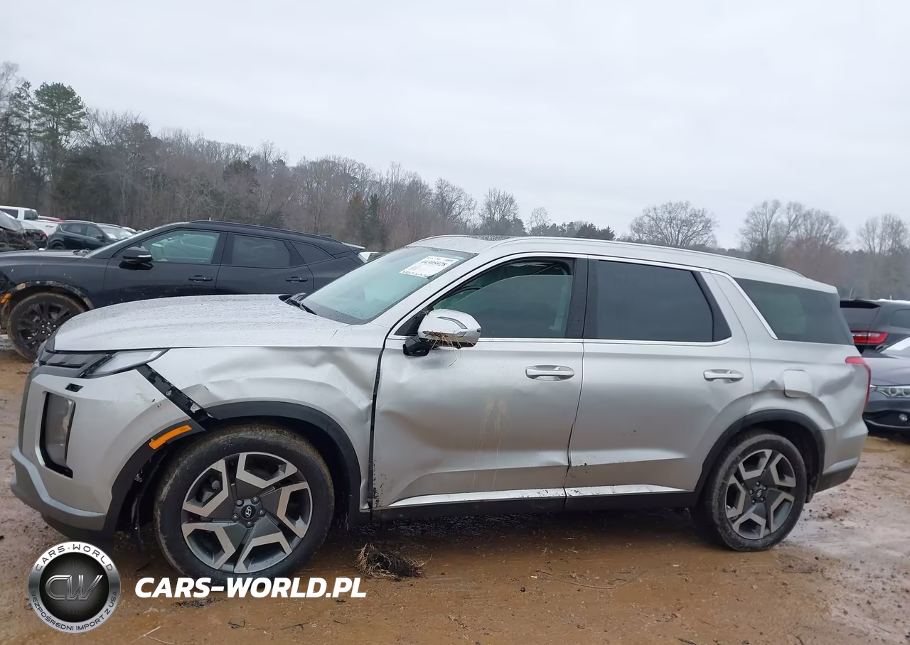 2025 Hyundai Palisade Sel Premium VIN:KM8R4DGE0SU937104 - 14