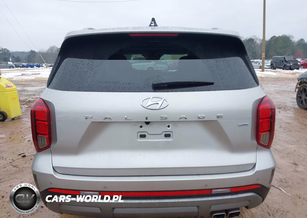 2025 Hyundai Palisade Sel Premium VIN:KM8R4DGE0SU937104 - 16