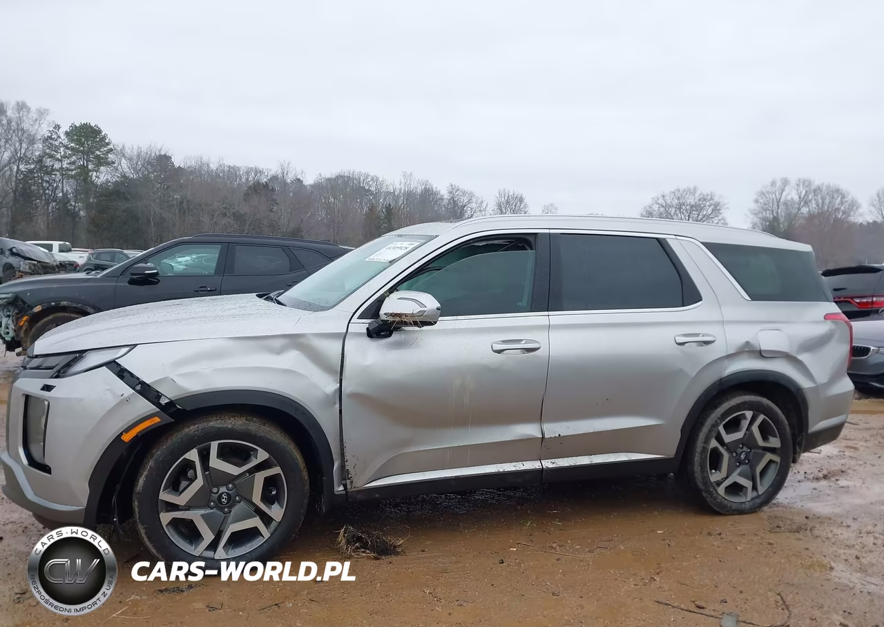 2025 Hyundai Palisade Sel Premium VIN:KM8R4DGE0SU937104 - 6