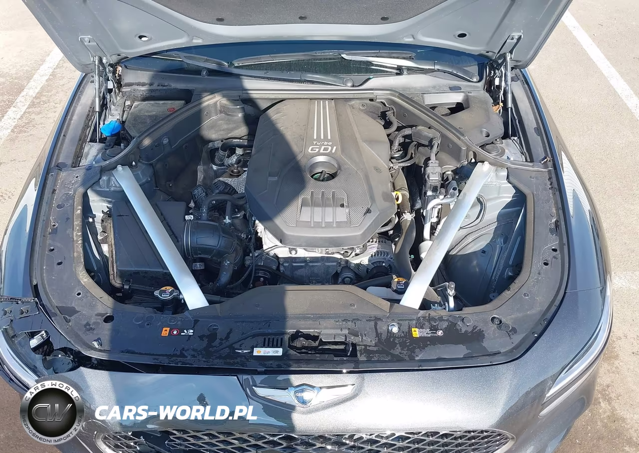 2023 Genesis G70 2.0T Awd VIN:KMTG34TA9PU128260 - 10