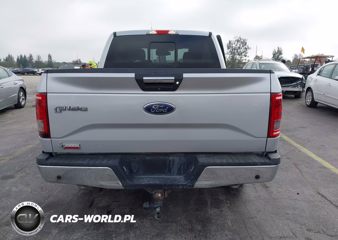2016 Ford F-150 Xlt VIN:1FTEW1CPXGKF16156 - 16