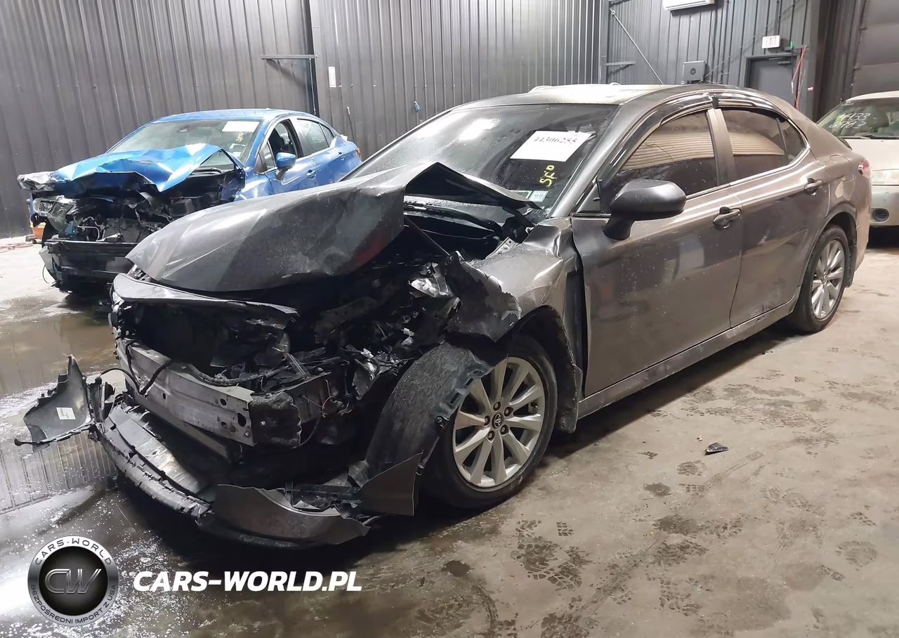 2020 Toyota Camry Le VIN:4T1C11AK2LU859096 - 2