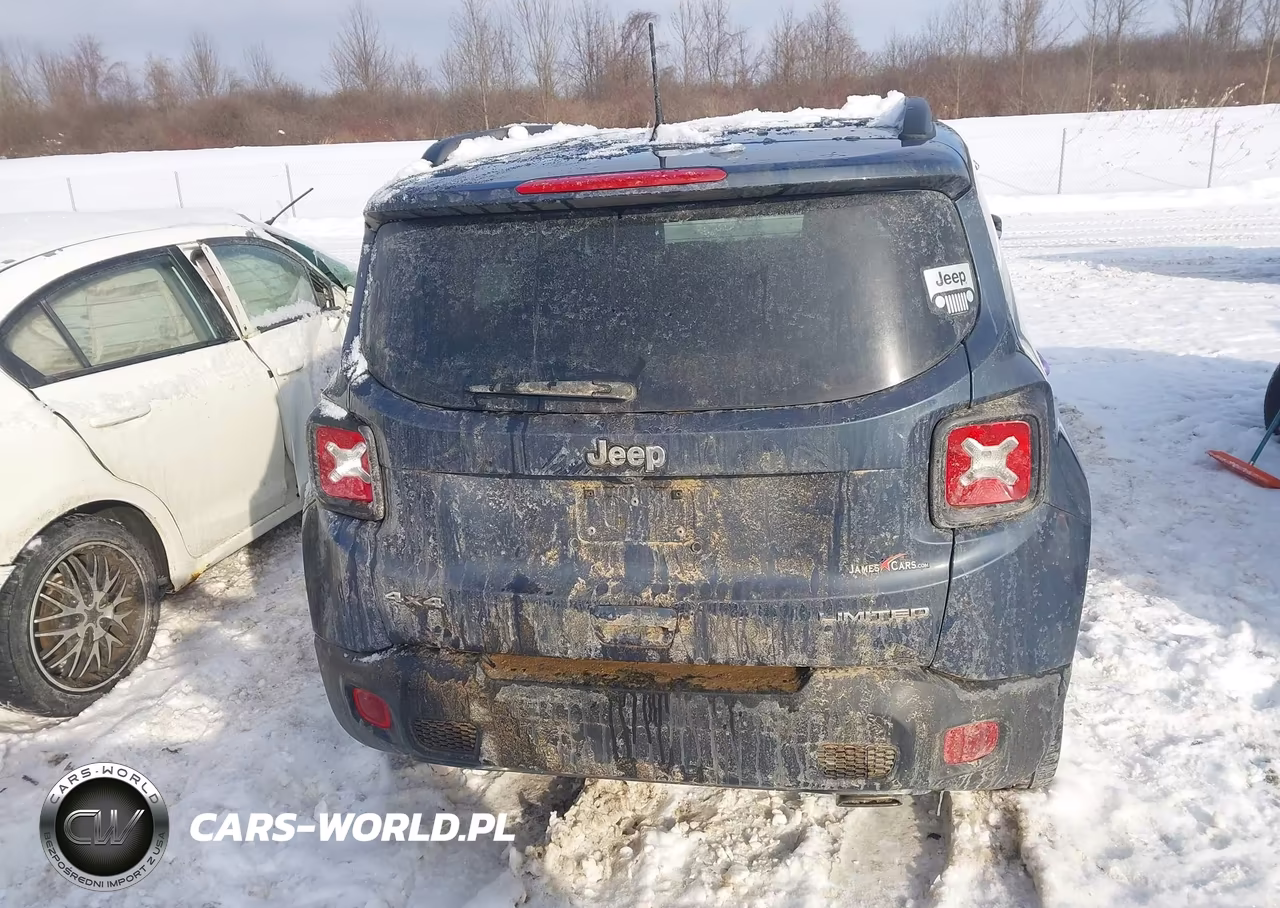 2022 Jeep Renegade Limited 4X4 VIN:ZACNJDD17NPN72534 - 16