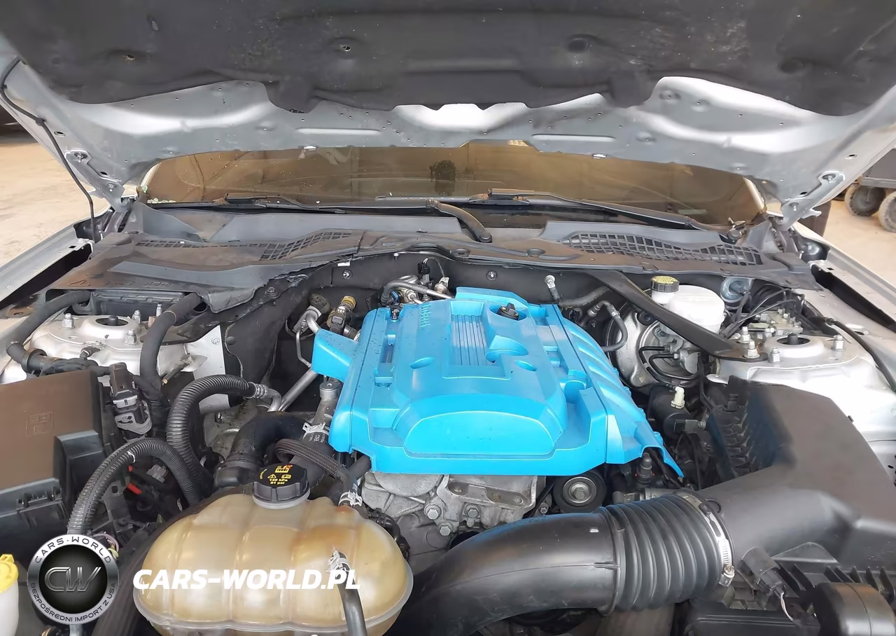 2018 Ford Mustang Ecoboost Premium VIN:1FATP8UH8J5124065 - 10