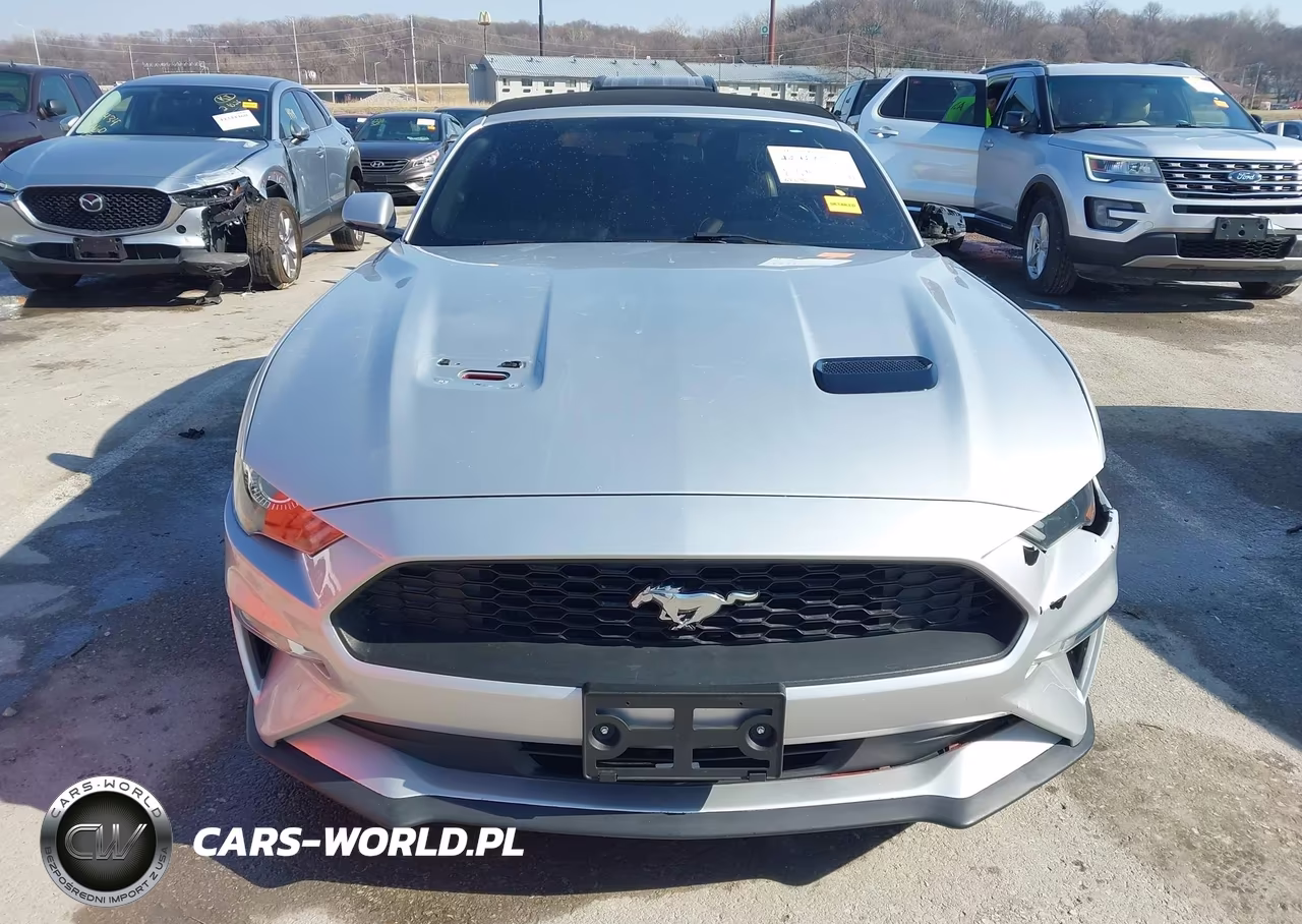 2018 Ford Mustang Ecoboost Premium VIN:1FATP8UH8J5124065 - 12