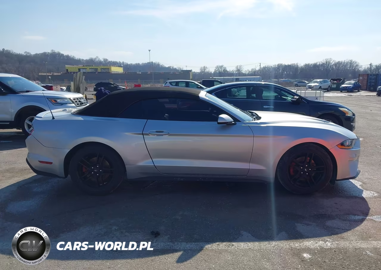 2018 Ford Mustang Ecoboost Premium VIN:1FATP8UH8J5124065 - 13