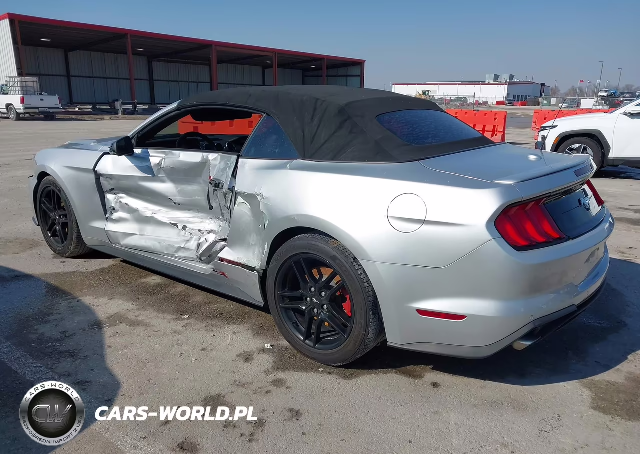 2018 Ford Mustang Ecoboost Premium VIN:1FATP8UH8J5124065 - 3