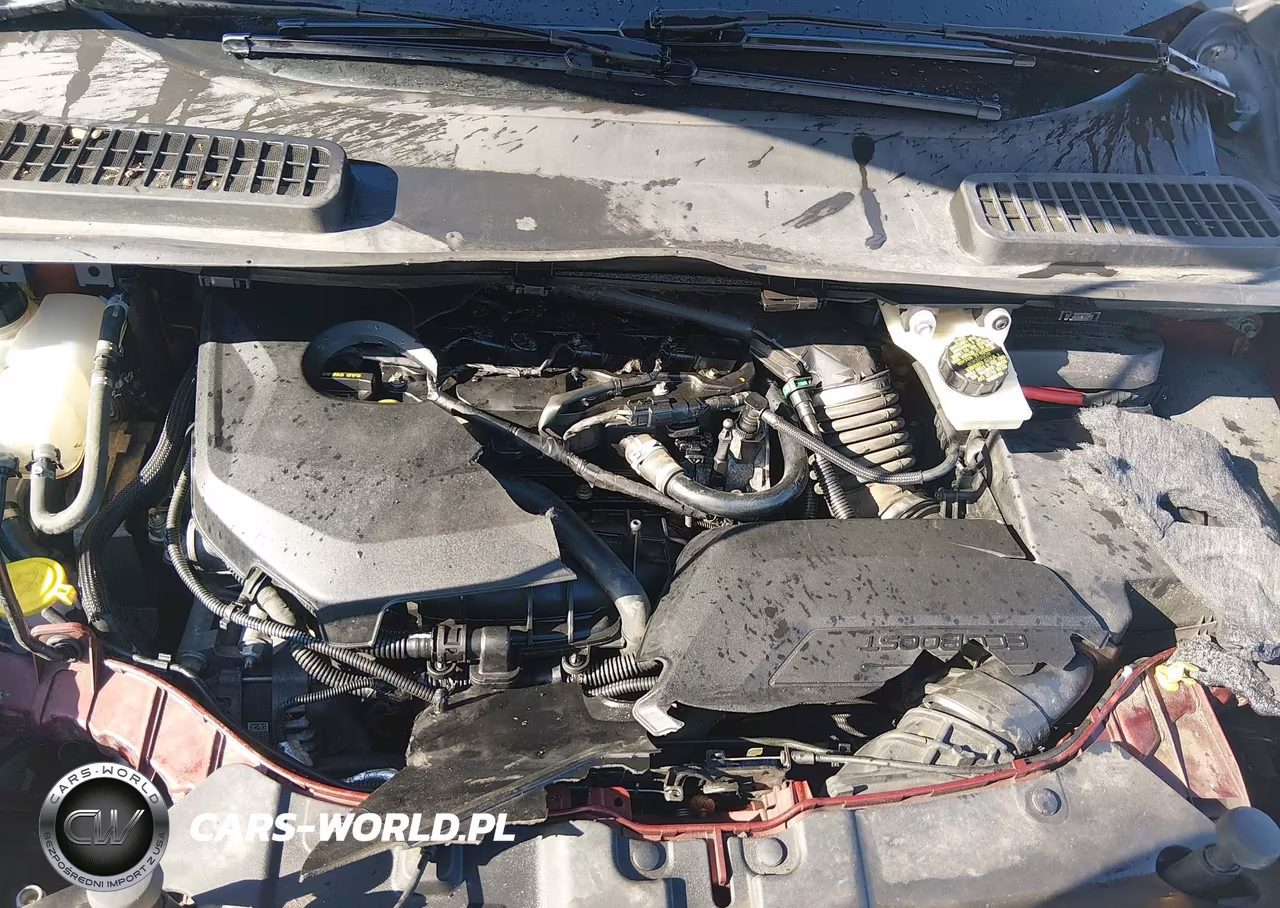 2014 Ford Escape Titanium VIN:1FMCU9JX3EUC51477 - 6