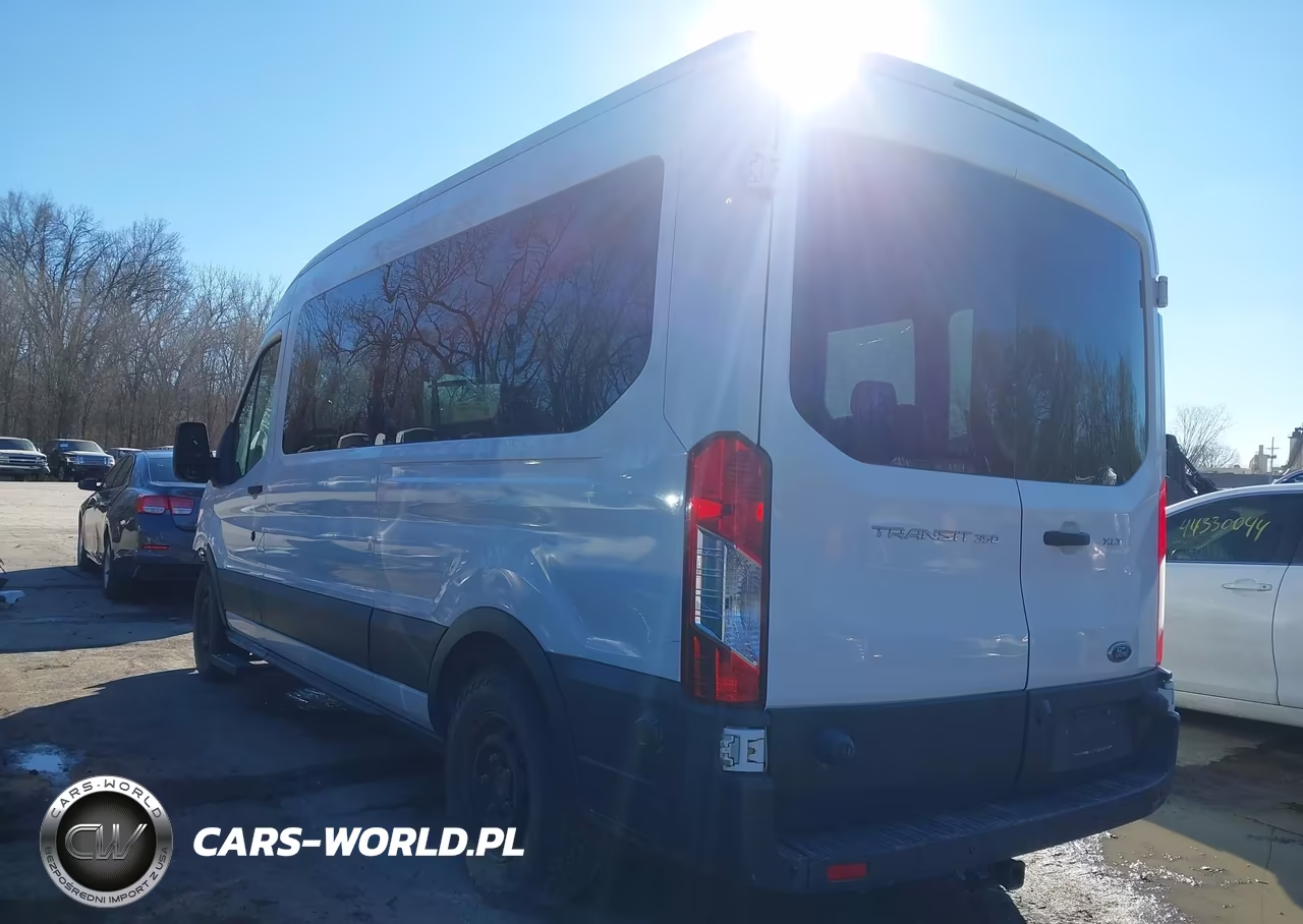 2016 Ford Transit-350 Xlt VIN:1FBAX2CM6GKB00696 - 3