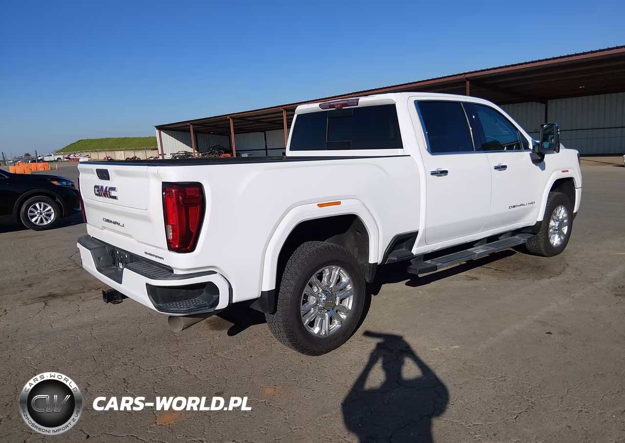2020 GMC Sierra 3500Hd 4Wd Standard Bed Denali VIN:1GT49WEY7LF324489 - 4
