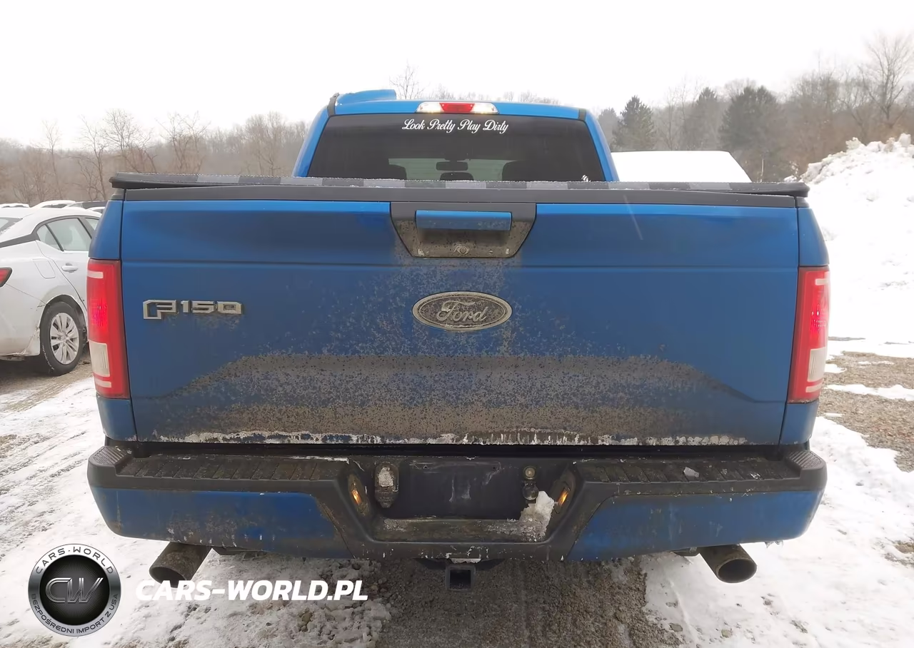2015 Ford F-150 Xlt VIN:1FTFW1EG6FFC16719 - 16