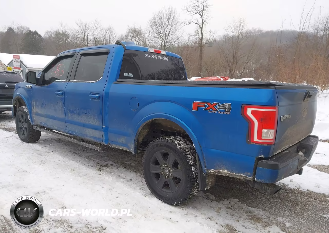 2015 Ford F-150 Xlt VIN:1FTFW1EG6FFC16719 - 3