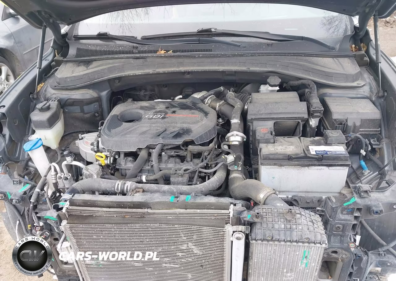 2019 Hyundai Santa Fe Ultimate 2.0T VIN:5NMS5CAA1KH076302 - 10